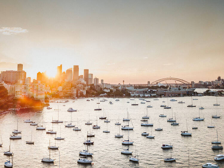 Many yachts in the water of Sydney Harbour with the city skyline and harbour bridge in the background