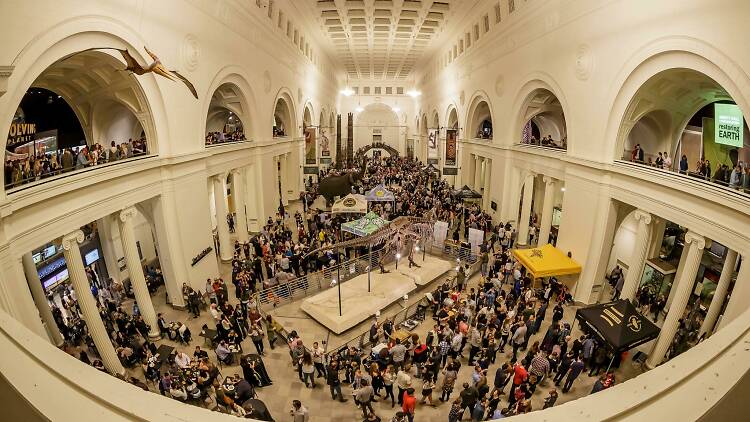 Chicago Beer Festival