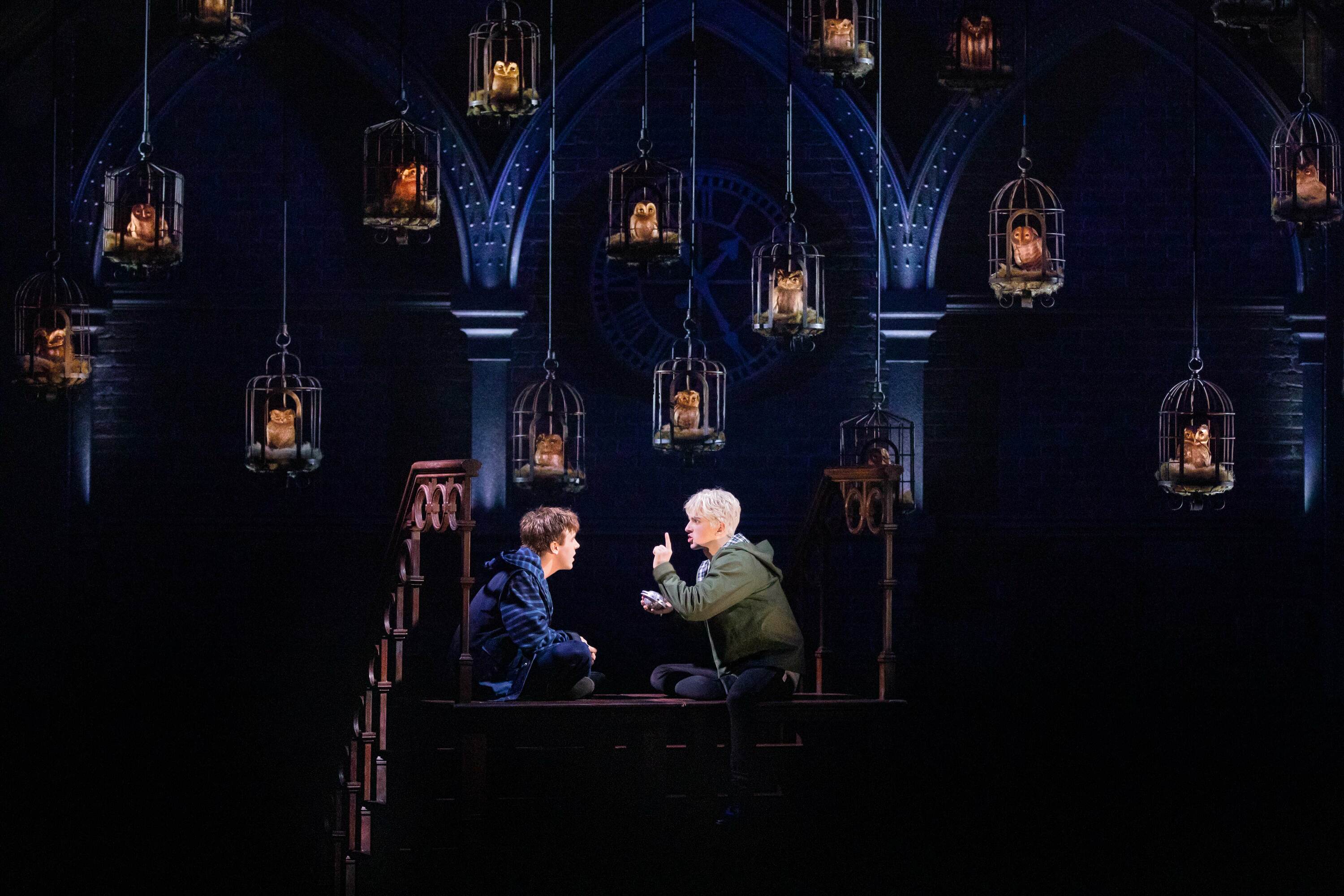 Harry Potter and the Cursed Child is a gay love story