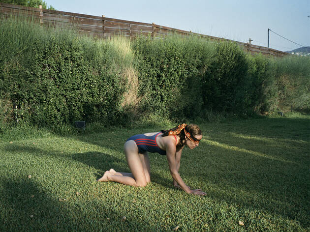 Canino (2009) Canino (2009)