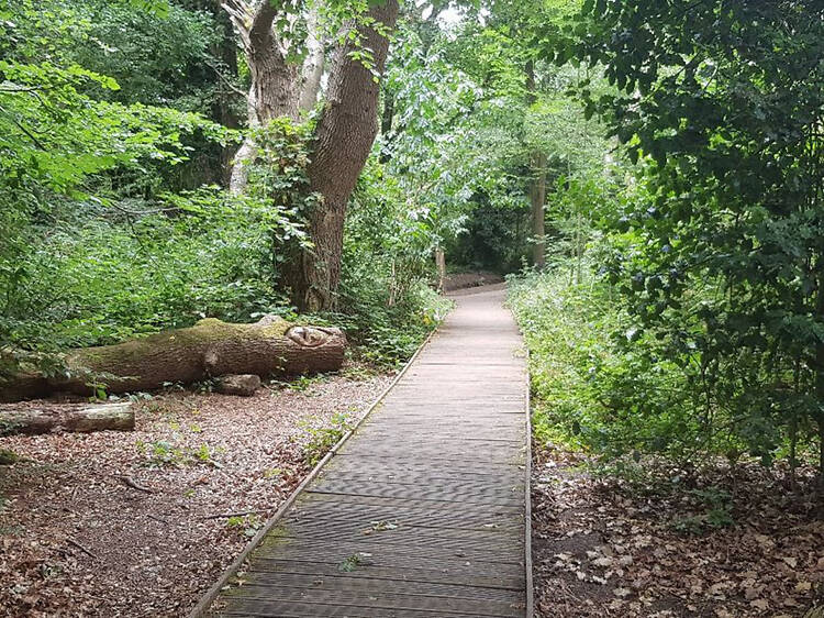 Moseley Bog