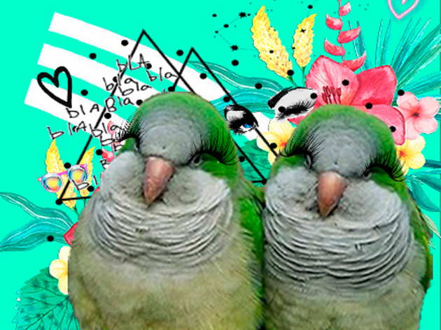 Calladitas estáis más guapas Calladitas estáis más guapas