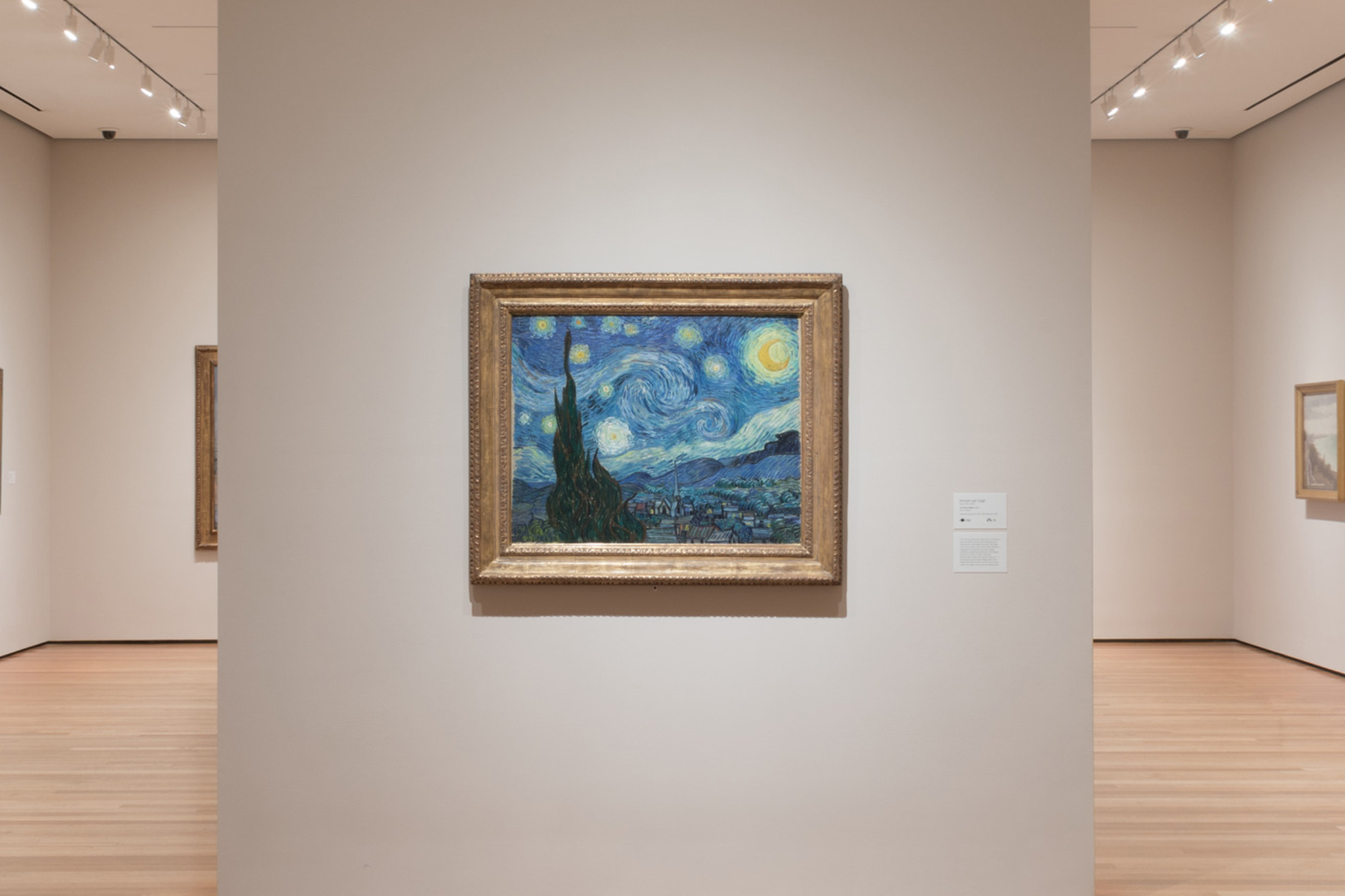 Best Paintings  at the Museum  of Modern  Art  MoMA Right Now