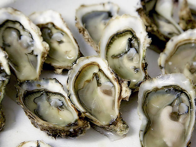 Oysters Oysters