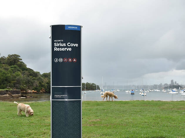 Sirius Cove Reserve Dogs near the water at Sirius Cove Reserve.