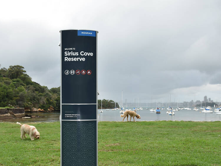 Sirius Cove Reserve, Mosman