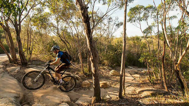 Manly Dam