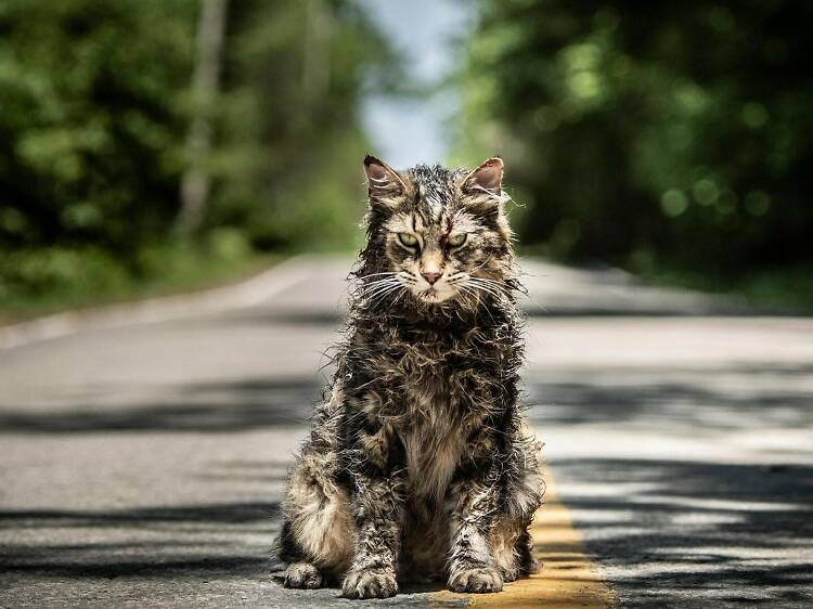 Pet Sematary