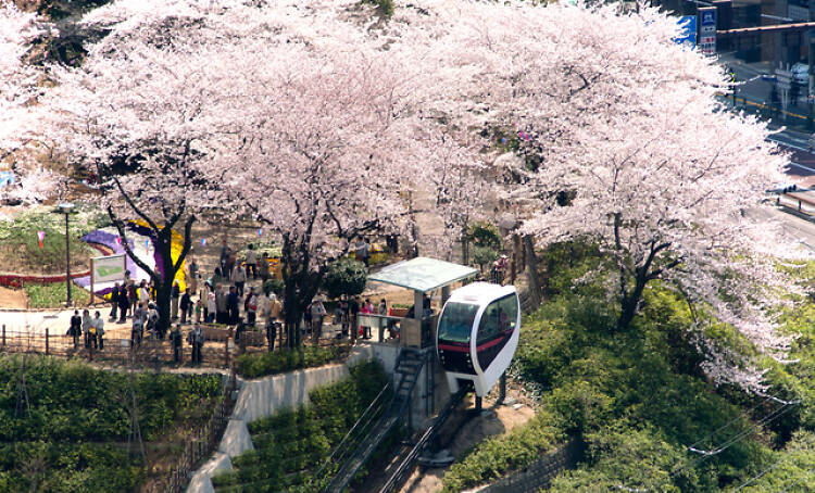 飛鳥山公園