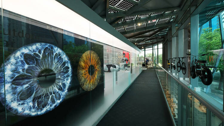 Red Dot Museum - Human-Nature Exhibition