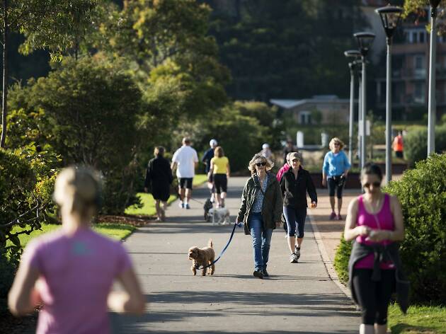 Jubilee foreshore walk People walking dogs.
