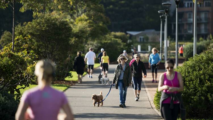 People walking dogs.