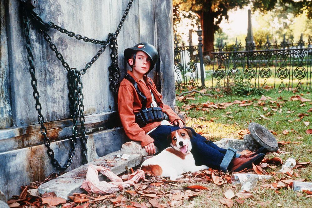 30 Best Animal Movies To Watch As A Family
