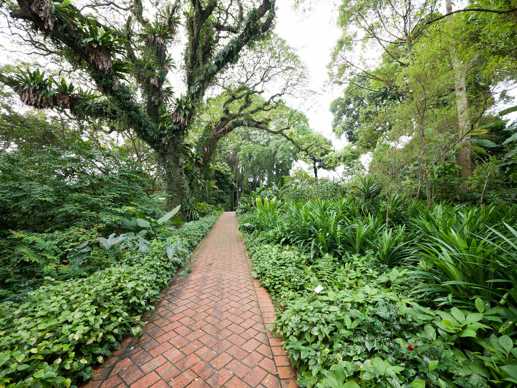 The best hiking trails for kids in Singapore