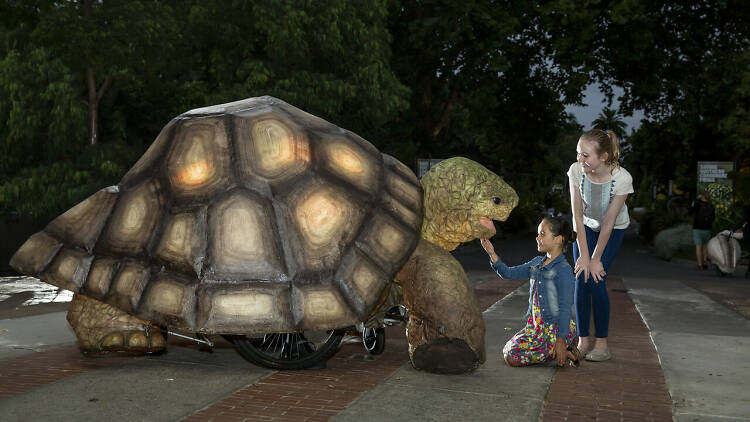 Giant tortoise puppet interacting with small girl and less small girl