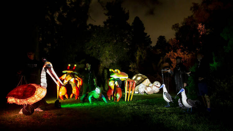 A selection of giant glowing animal installations