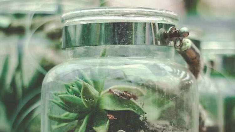 We All Step On Snails: A Poetry & Terrarium Experience