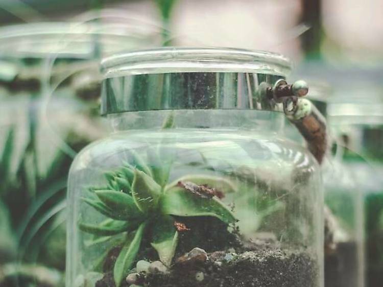 We All Step On Snails: A Poetry & Terrarium Experience