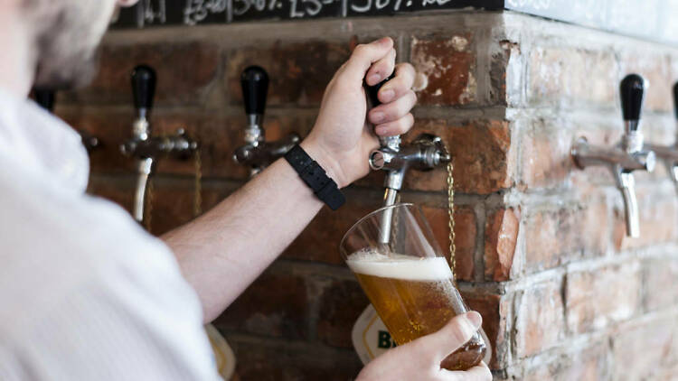 Tour de cerveza artesanal