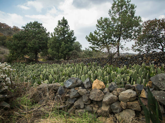 Milpa Alta Lugares imprescindibles de Milpa Alta