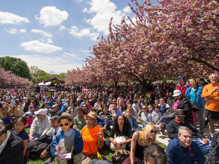 Here are the best things to do in spring in NYC