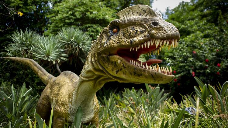 Carnivore dinosaur at Melbourne Zoo