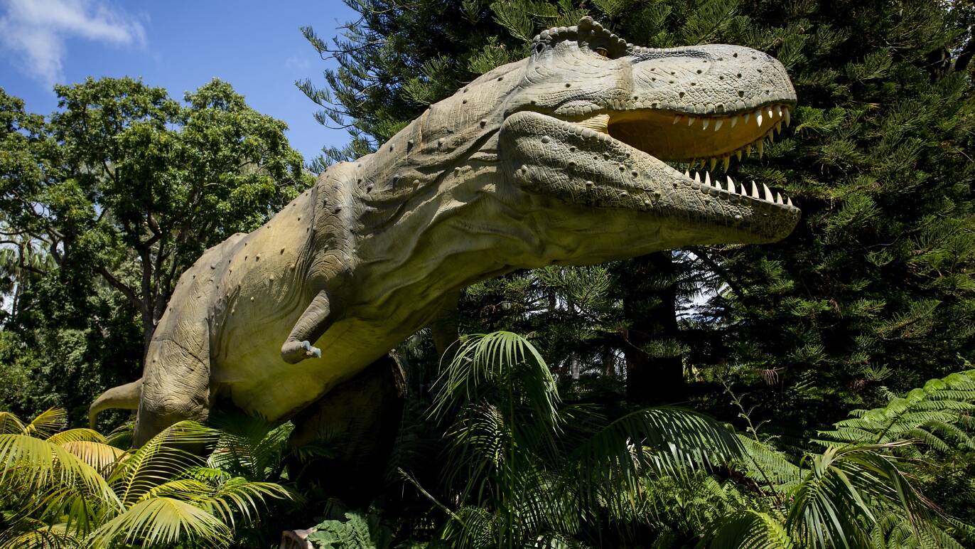 See dinosaurs at Victoria's major zoos, including Melbourne Zoo
