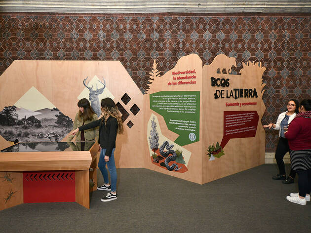 Ecos de la Tierra Ecos de la Tierra (Foto: Cortesía Ricardo Herrera)