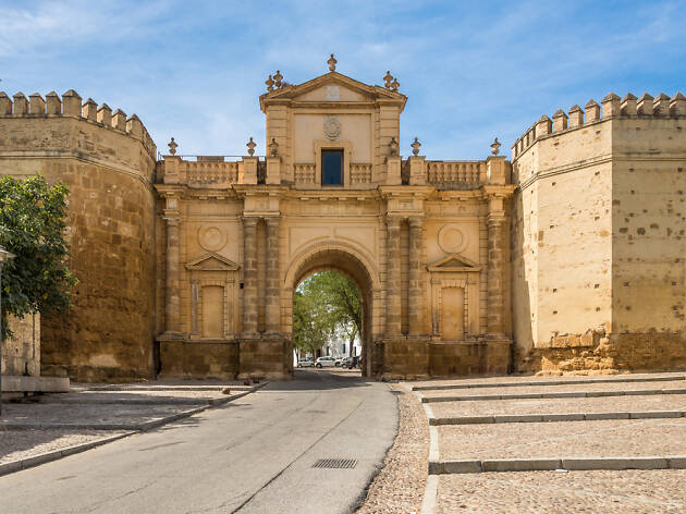 Carmona Carmona