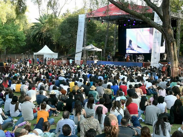 Festivales de jazz en la CDMX Festivales de jazz en la CDMX
