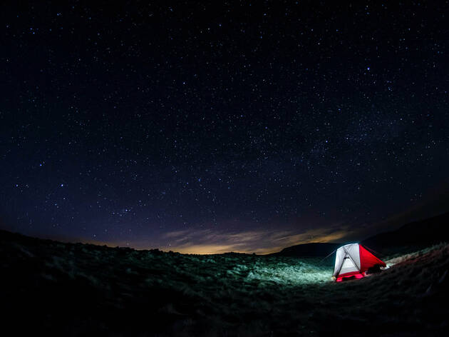 Stargazing in Galloway Forest Park