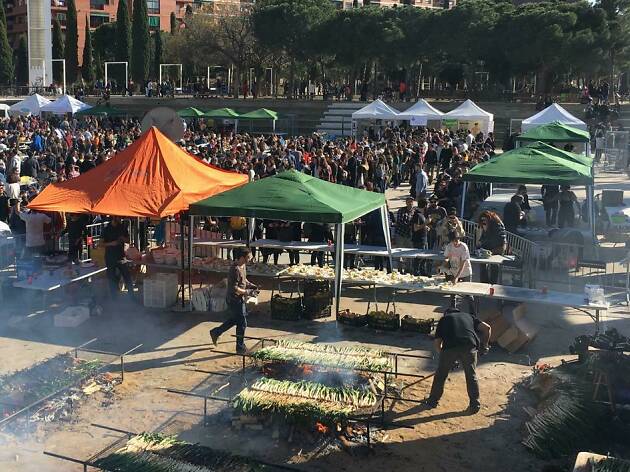 The Calçot Festival The Calçot Festival