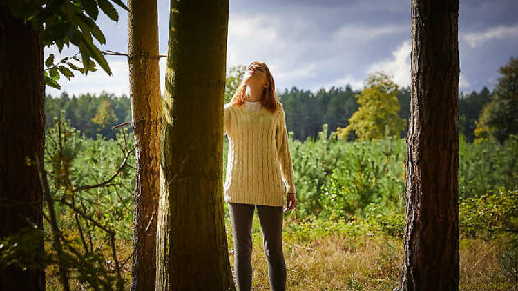 Bathe in a forest 