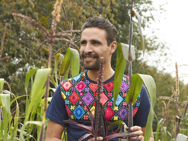 Enrique Cervantes Director de El Bonito Tianguis Enrique Cervantes