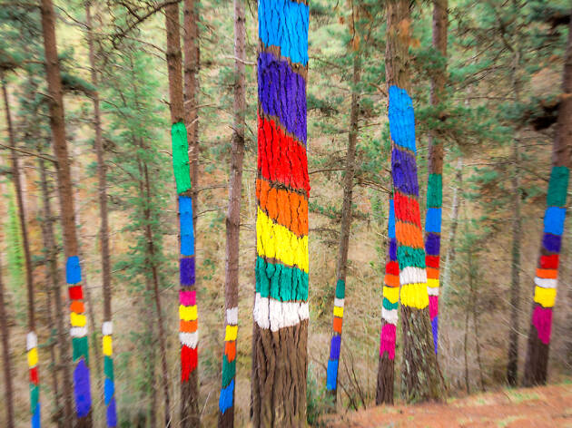 Bosque de Oma Bosque de Oma