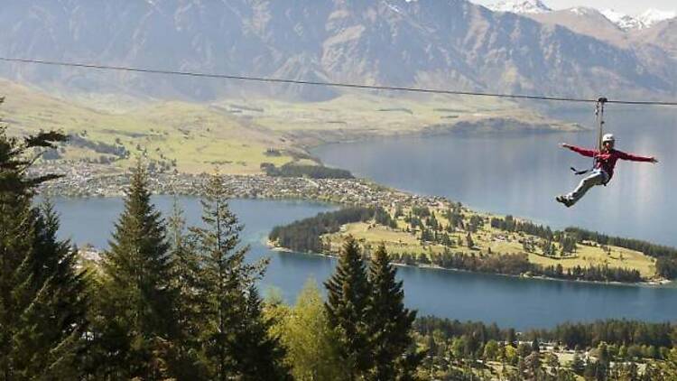 Ziptrek Ecotours