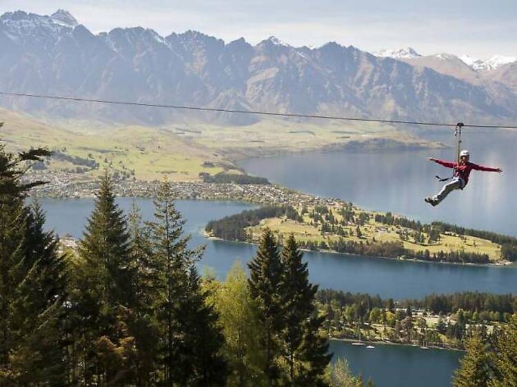 Ziptrek Ecotours