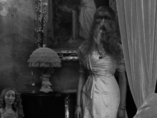 Alice E. Doherty Alice The Wonder / Alice La Maravilla Alice E. Doherty Alice The Wonder / Alice La Maravilla
