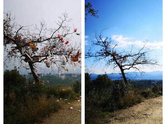 Trashtag Challenge Trashtag Challenge