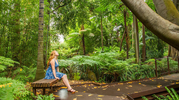 Woman on bench at Royal Botanic Gardens Victoria