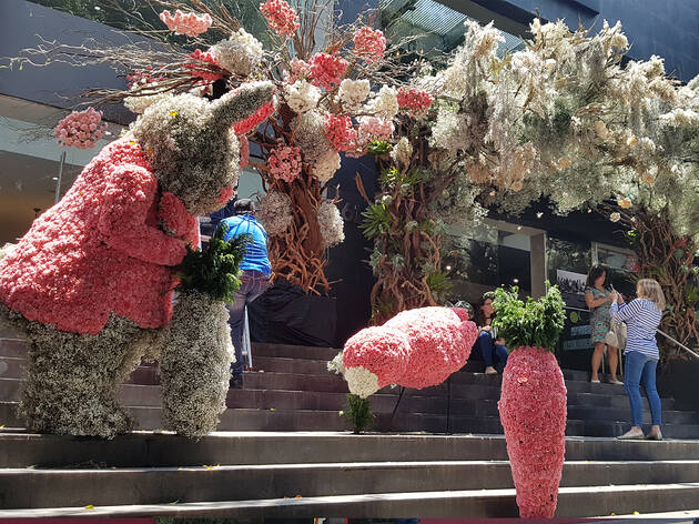 FYJA Polanco en flores 2019 FYJA Polanco en flores 2019