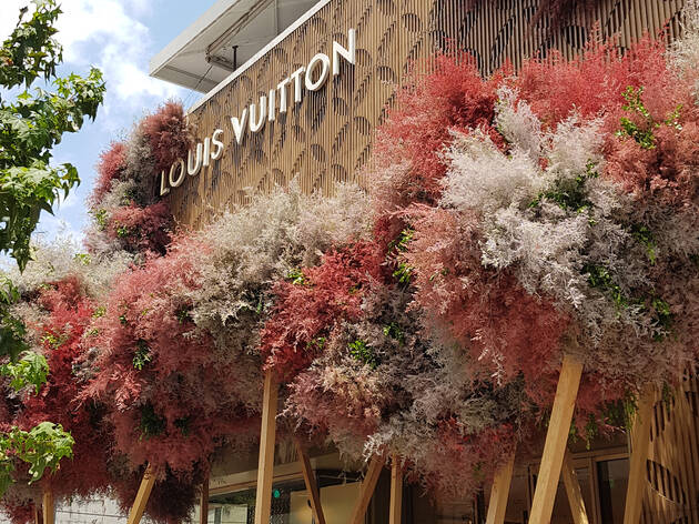 Polanco en Flores 2019 Polanco en flores 2019 del Festival de Flores y Jardines FYJA