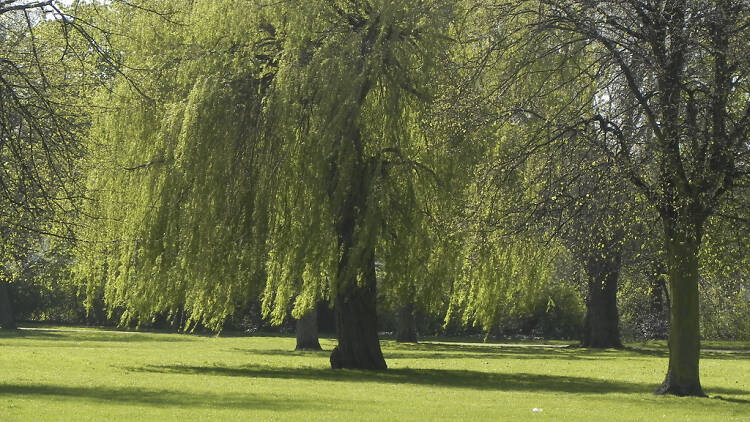 Wandle Park Croydon