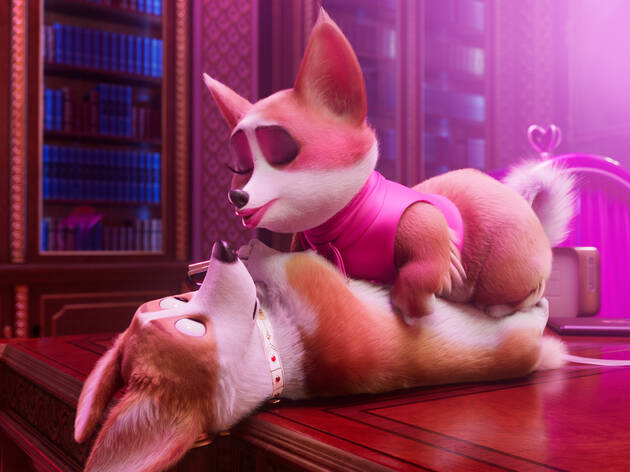 Cai na Real, Corgi (2019) Cai na Real, Corgi (2019)
