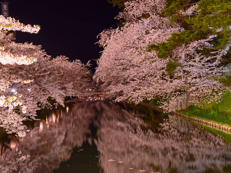 Hirosaki Park, Aomori