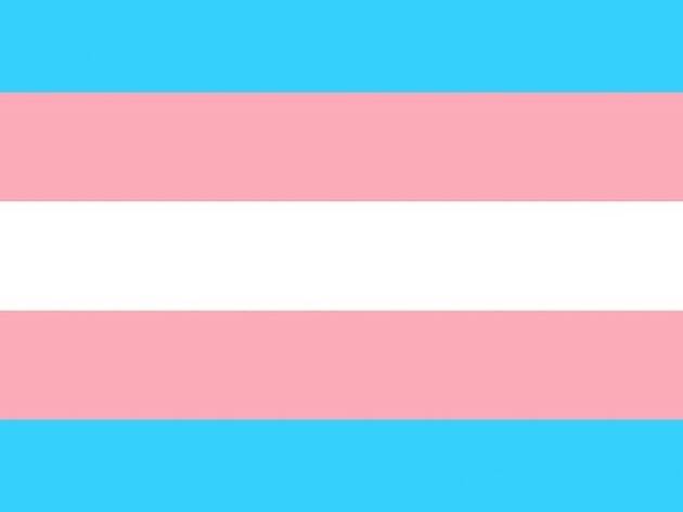 Bandera trans Bandera trans