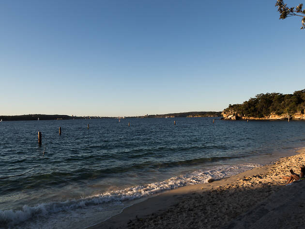 Shark Beach, Vaucluse Ocean and sand beach at Shark Beach, Vaucluse