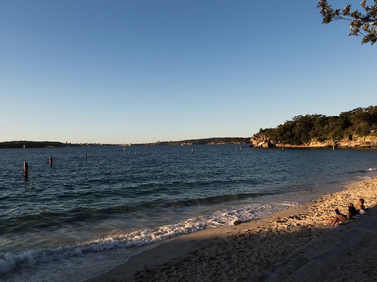 Shark Beach