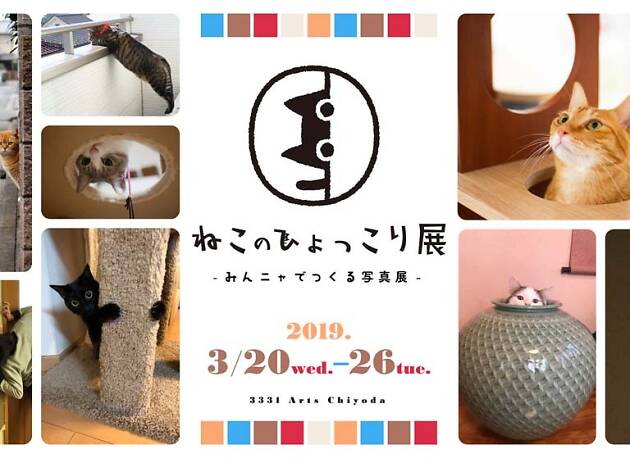 ねこのひょっこり展 ねこのひょっこり展