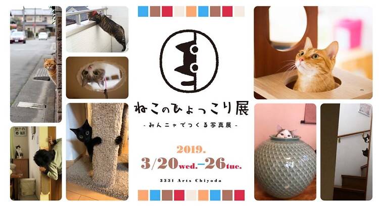 ねこのひょっこり展